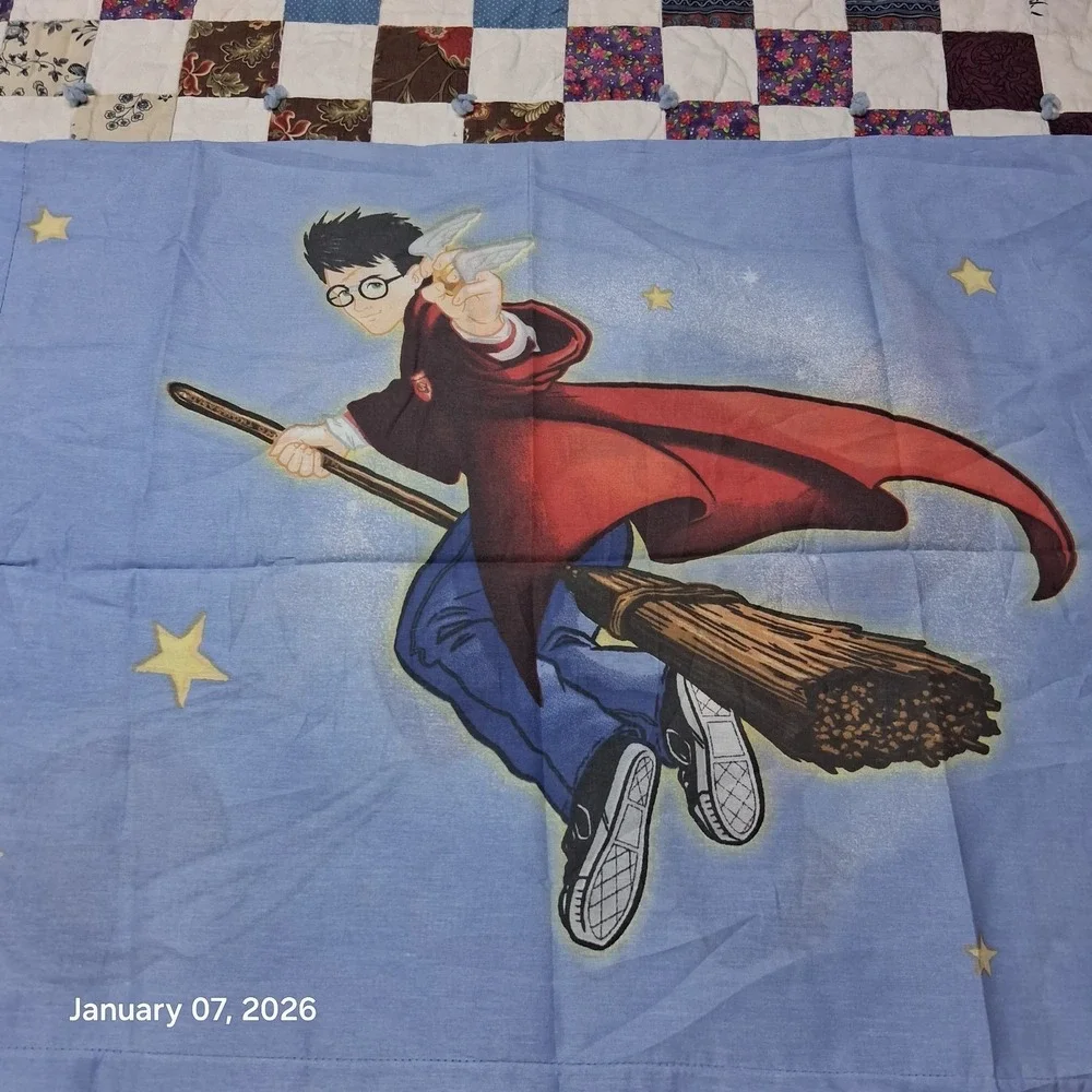 Vintage Harry Potter and The‎ Golden Snitch Quidditch Pillow Case Book Series